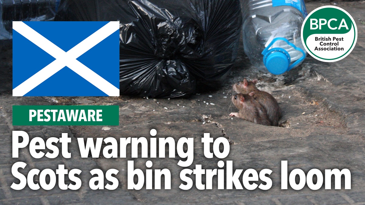 scotland bins hero scotland bins hero